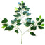 SET 12 BUC Frunze Artificiale FICUS Verzi 55 cm - Produs Recomandat 