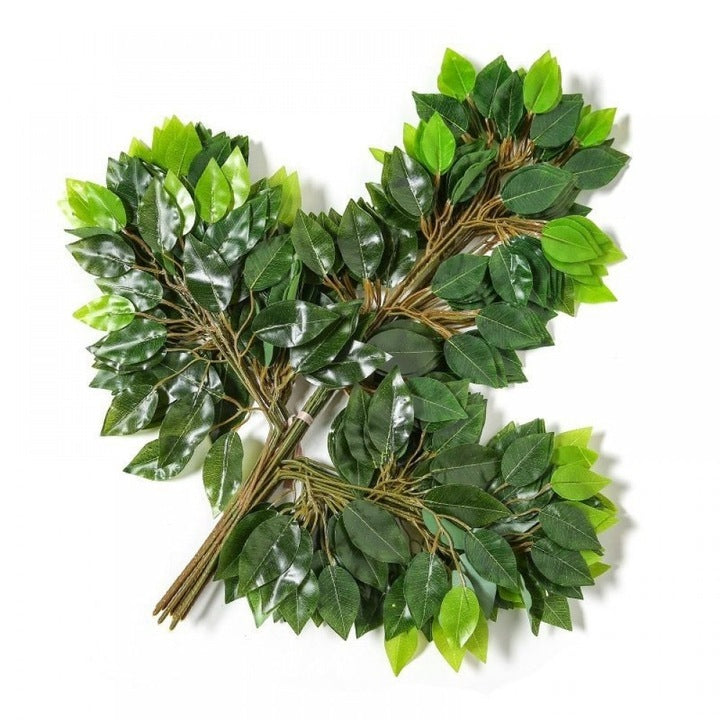 SET 12 BUC Frunze Artificiale FICUS Verzi 55 cm - Produs Recomandat 