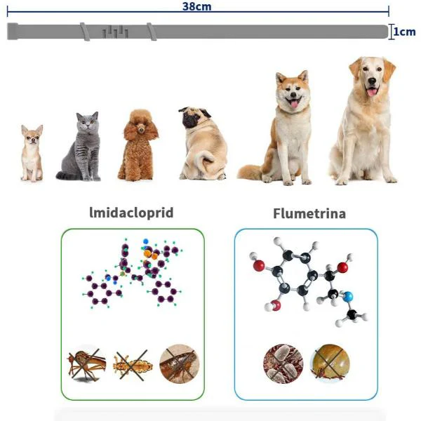 Set X2 Zgarda antiparazitara, pentru purici si capuse, protectie pana la 6 luni pentru animale (caini si pisici) TALIE MICA-MEDIE - Produs Recomandat 